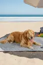 ürün5.webp