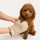 31.webp