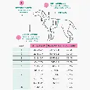 softshel yağmurluk.webp