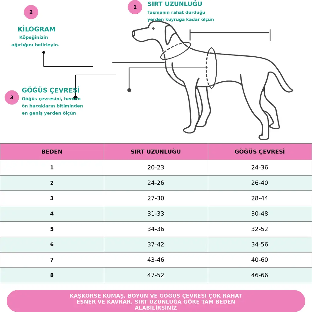 köpek atlet.webp