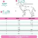 köpek atlet.webp