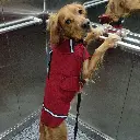 27.webp