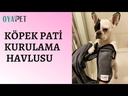 youtube - [Video]
