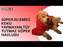 youtube - [Video]