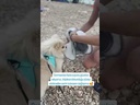 youtube - [Video]
