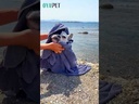youtube - [Video]