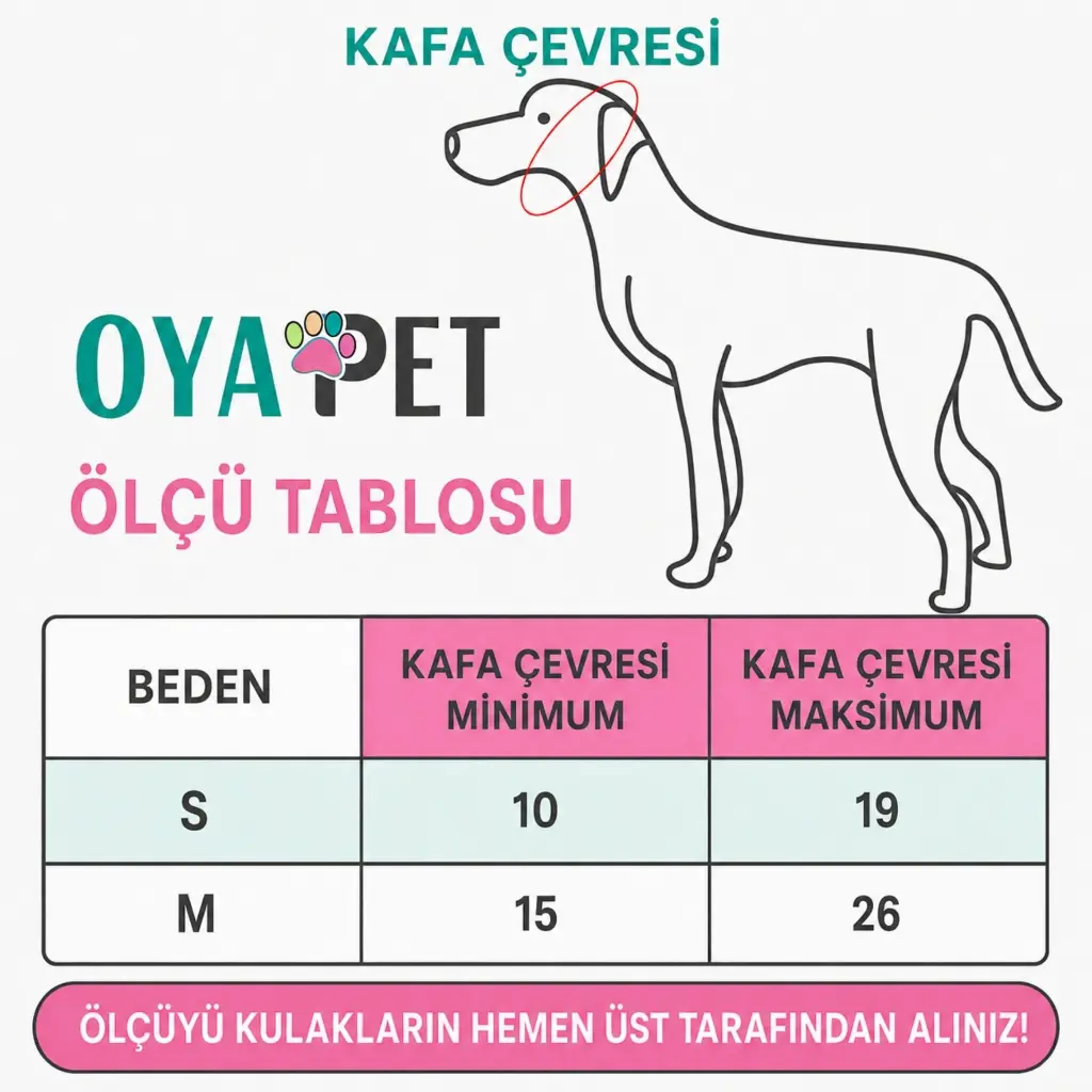 7.webp