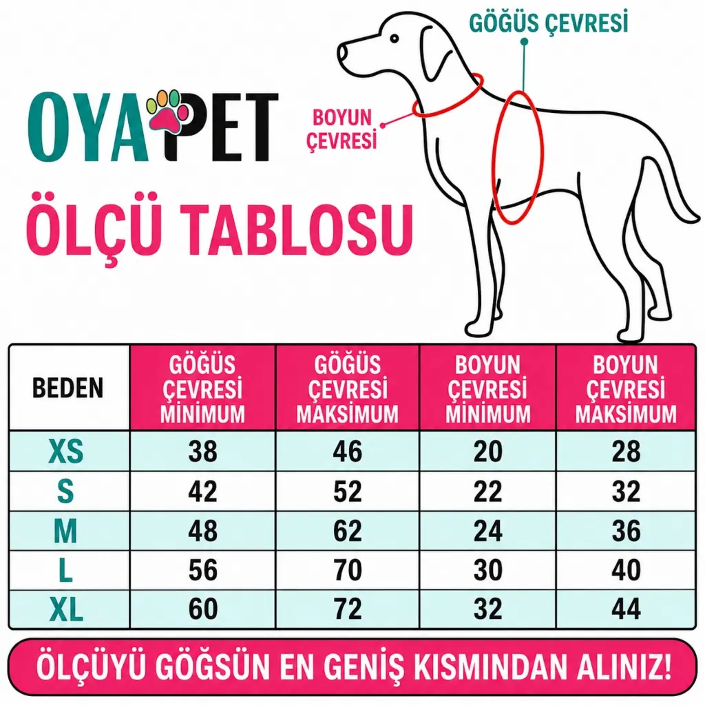 6.webp